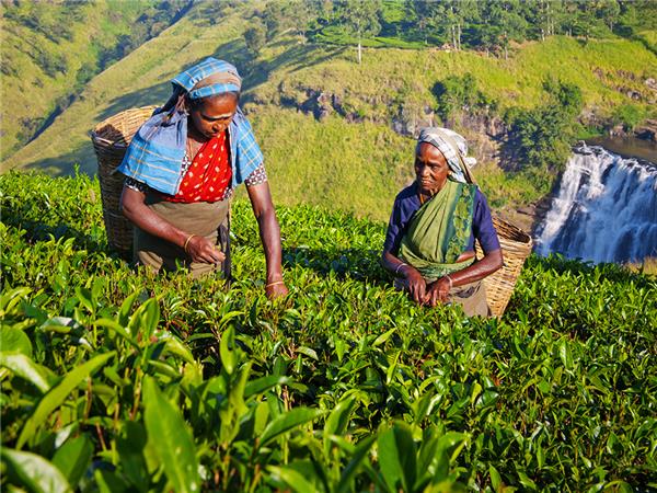 Family holiday in Sri Lanka