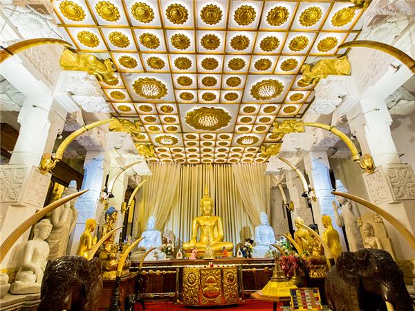 Family holiday in Sri Lanka