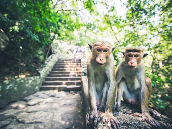 Family holiday in Sri Lanka