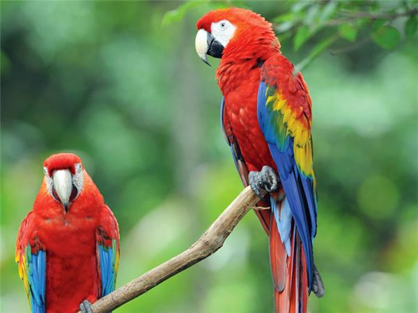 Costa Rica family adventure holiday