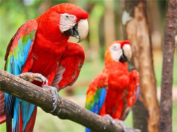 Costa Rica family adventure holiday