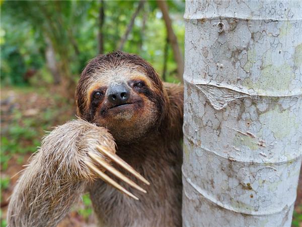 Costa Rica family adventure holiday