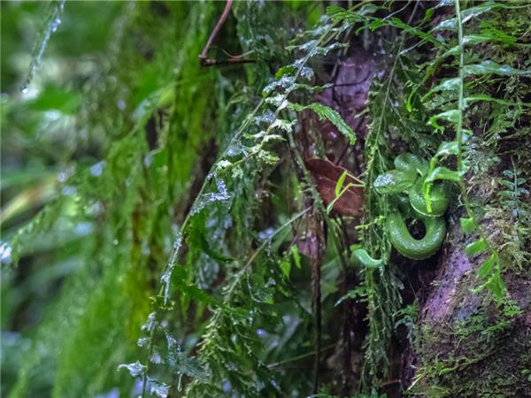 Costa Rica family adventure holiday