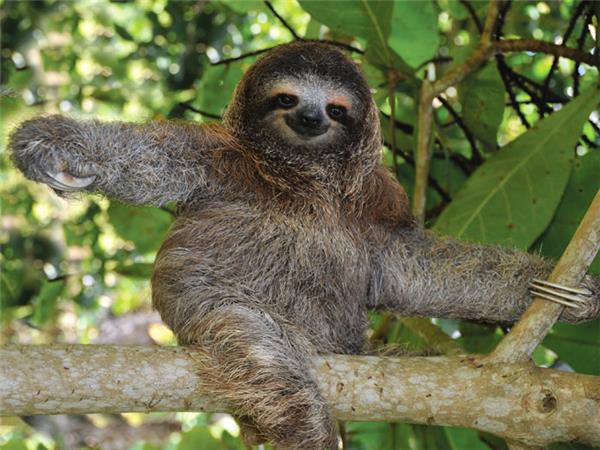 Costa Rica family adventure holiday