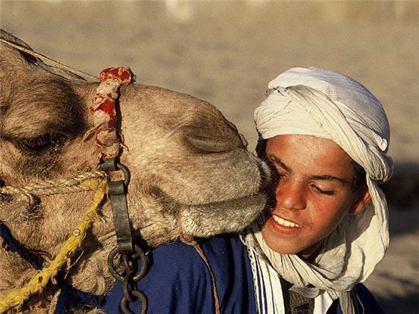 Marrakech & the Sahara holiday in Morocco
