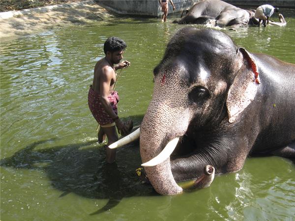 Kerala and tropical India cycling holidays
