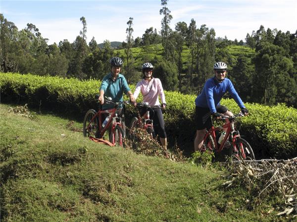 Kerala and tropical India cycling holidays