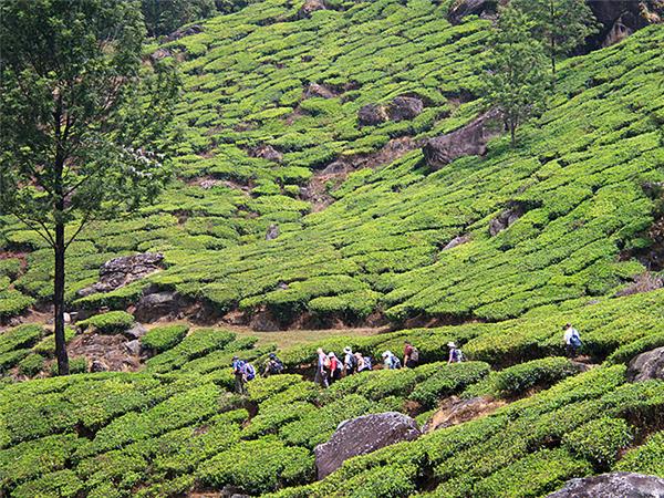 Kerala and tropical India cycling holidays