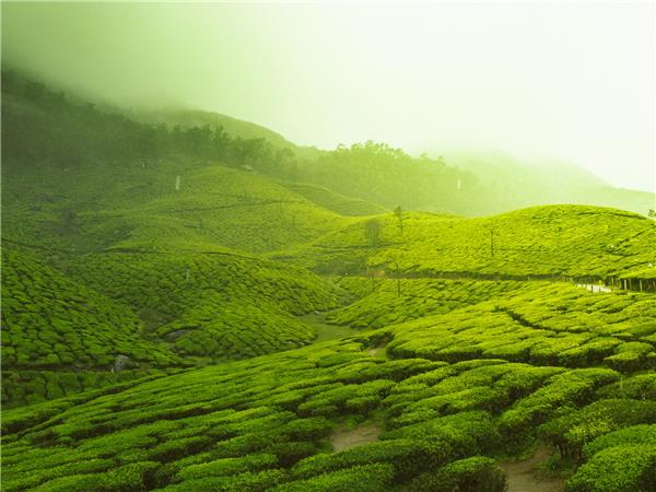 Kerala and tropical India cycling holidays