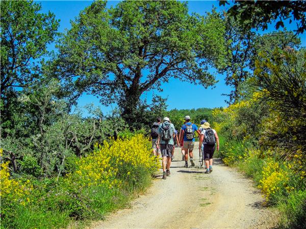 Tuscany tours, walking and wine tasting in Italy