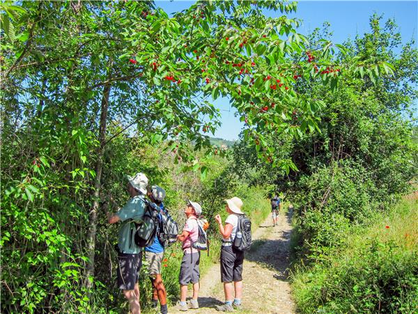 Tuscany tours, walking and wine tasting in Italy