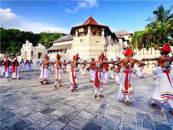 Sri Lanka culture and wildlife in comfort