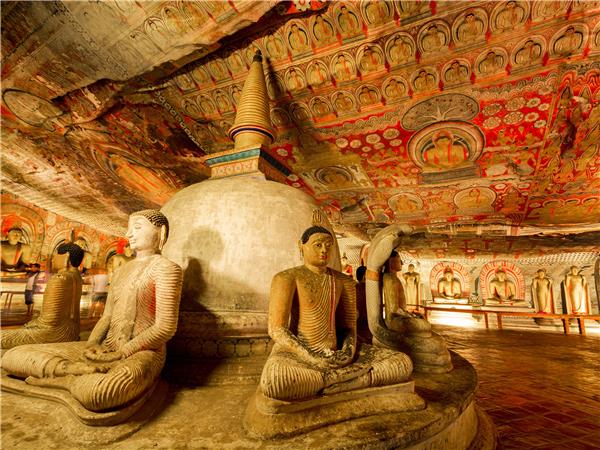 Sri Lanka culture and wildlife in comfort