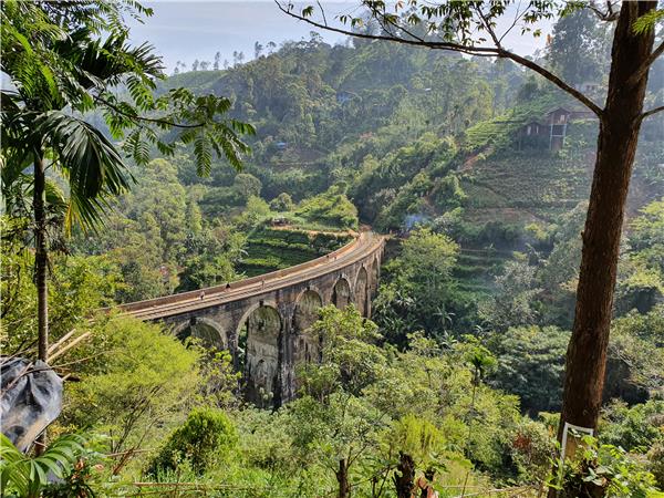Sri Lanka culture and wildlife in comfort