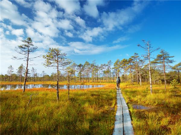 Estonia, Latvia and Lithuania holiday