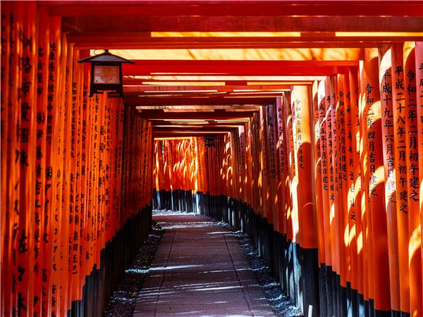 Highlights of Japan small group tour