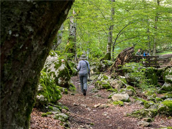 Appennines nature and walking holiday, Italy