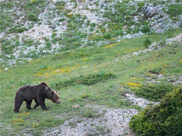 Appennines nature and walking holiday, Italy