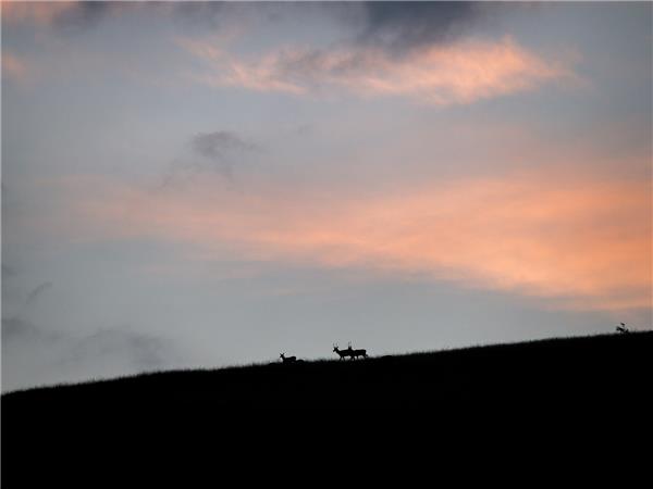 Appennines nature and walking holiday, Italy