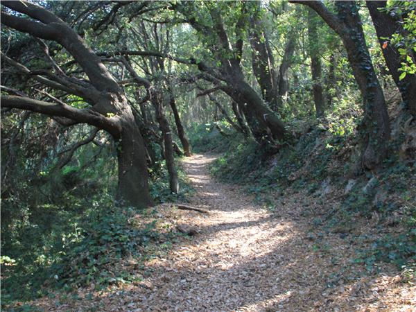 Catalonia coastal walking holiday, Spain