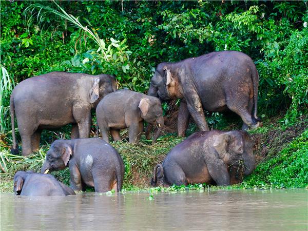 Borneo and Malaysia small group holiday
