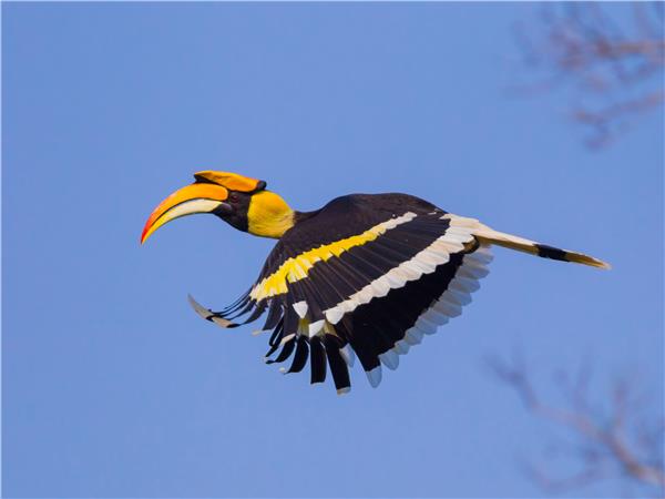 Borneo and Malaysia small group holiday