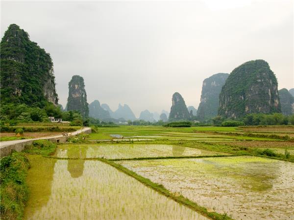 Family holiday to China