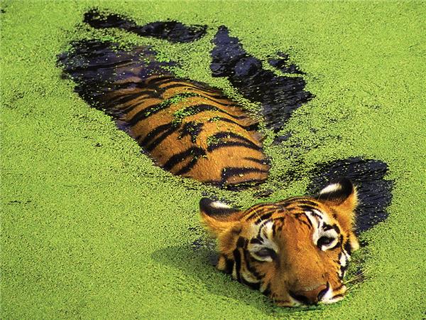 Rajasthan tours, India