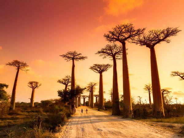 Madagascar holiday, overland adventure