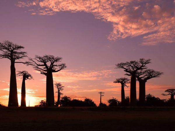 Madagascar holiday, overland adventure