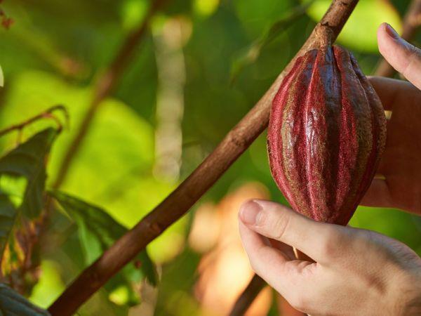 Colombia adventure holiday, viva Colombia