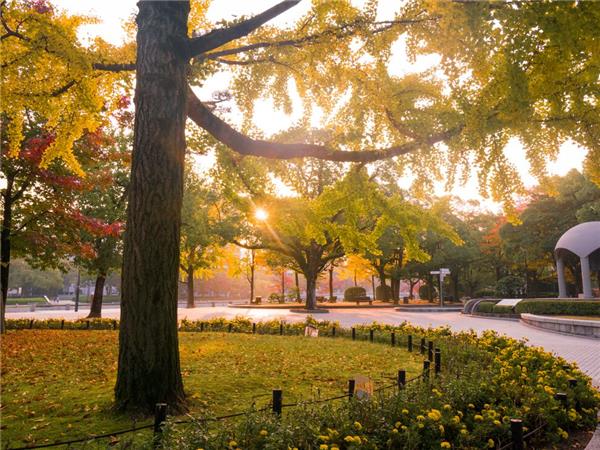 Holiday in Japan
