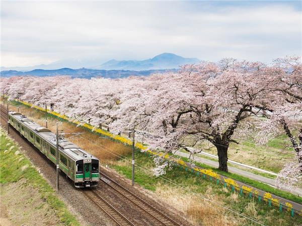 Holiday in Japan
