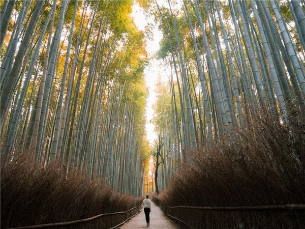 Holiday in Japan