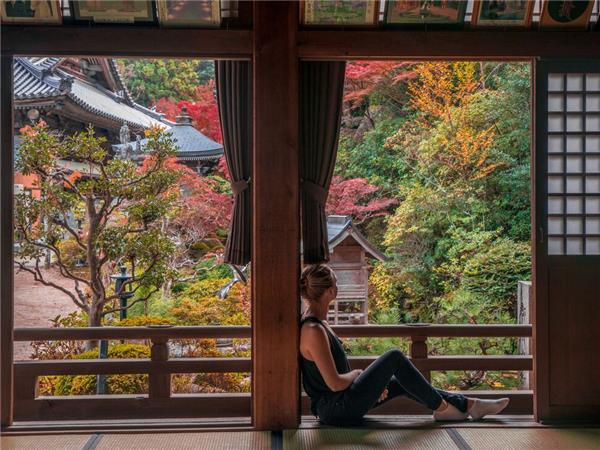 Holiday in Japan