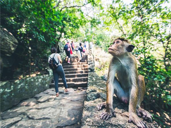 Sri Lanka adventure holiday