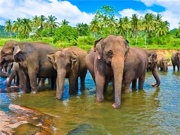 Sri Lanka adventure holiday