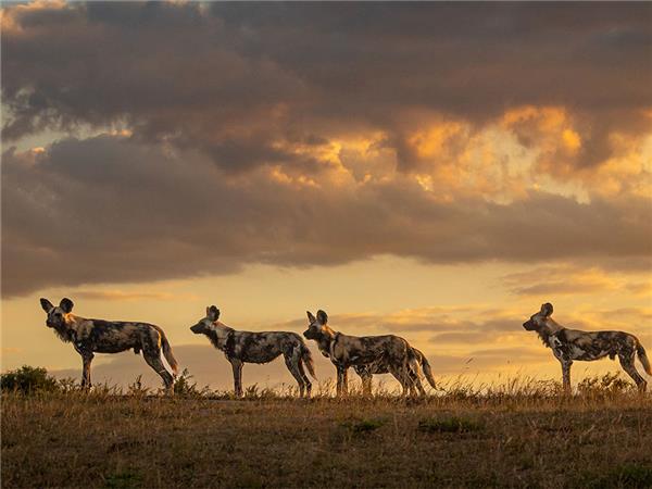 Southern Africa overland holiday
