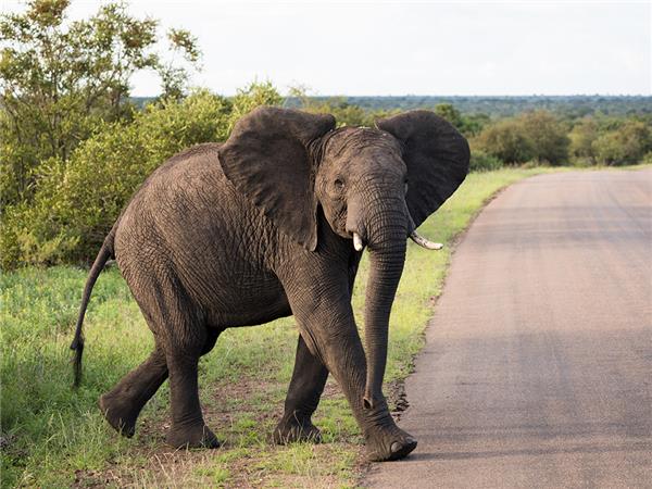 Southern Africa overland holiday