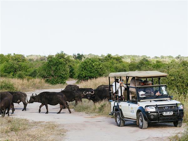 Southern Africa overland holiday