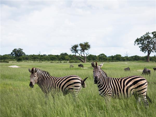 Southern Africa overland holiday