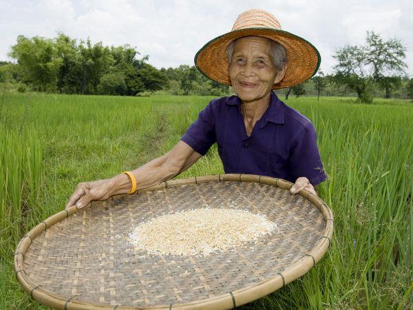 Vietnam small group explorer holiday