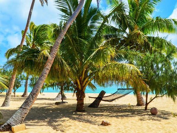 Budget Tonga holiday, swim with humpback whales