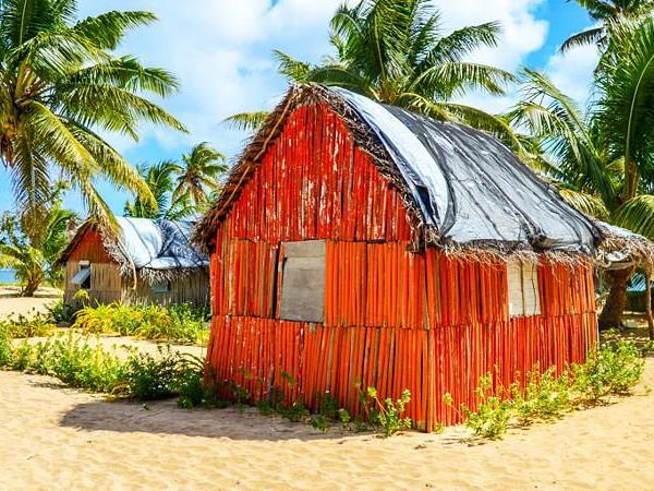 Budget Tonga holiday, swim with humpback whales