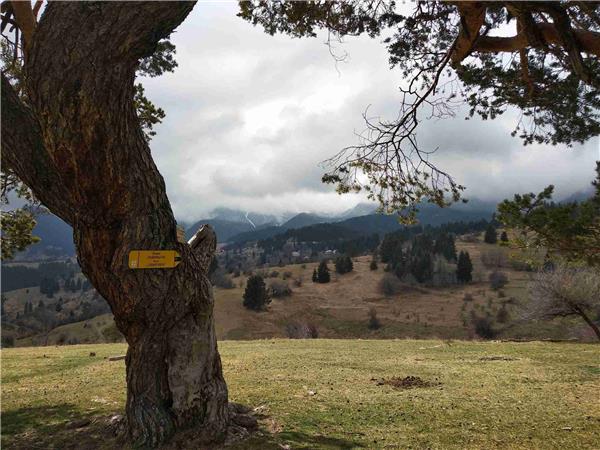 Rhodope Mountains walking holiday in Bulgaria