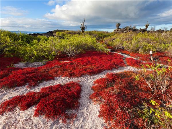 Island hopping holiday in the Galapagos