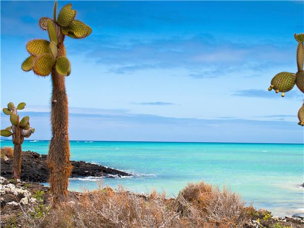 Island hopping holiday in the Galapagos