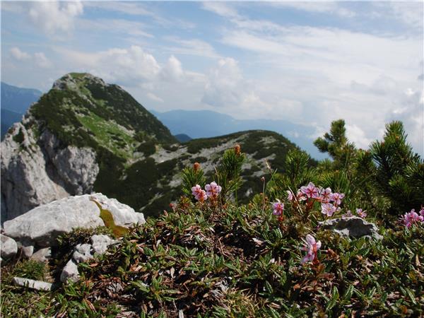 Slovenia holidays, Lakes & Mountains