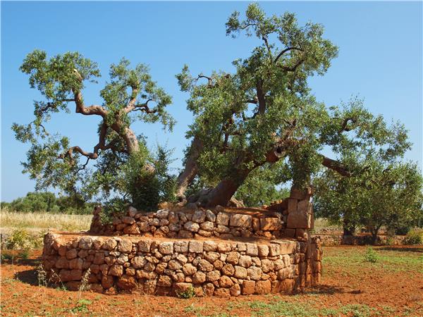 Puglia small group tour, Italy