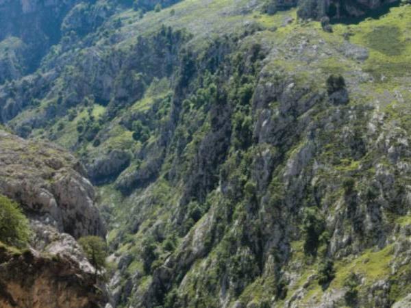 Walking in the Picos de Europa holiday